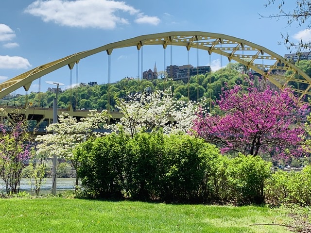 Pittsburgh Scene