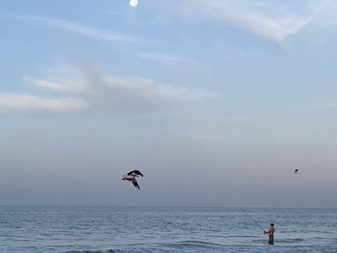 Sunrise at the Beach